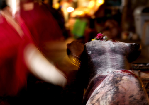 Woman Putting Her Hand On A Statue In A Temple, Madurai, India