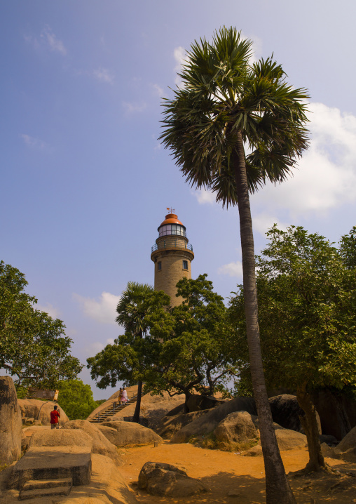 Mahabalipuram Lighthouse Surrounded By Trees, India