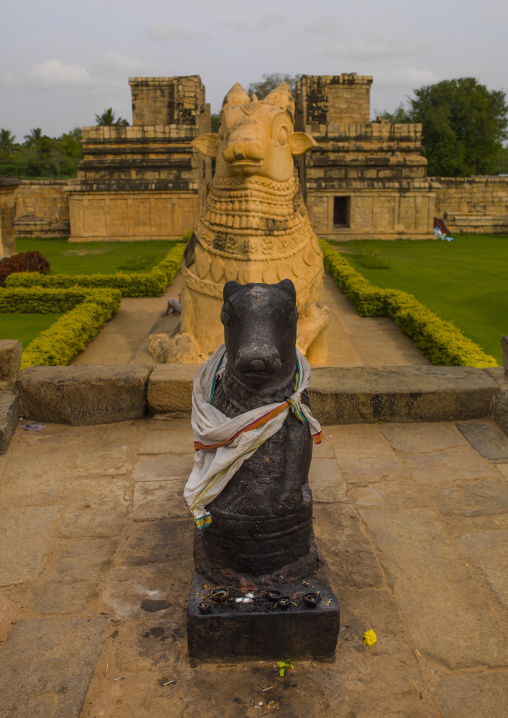 Carvings Of Nandi Bull In The Garden Of The  Brihadishwara Temple, Gangaikondacholapuram, India
