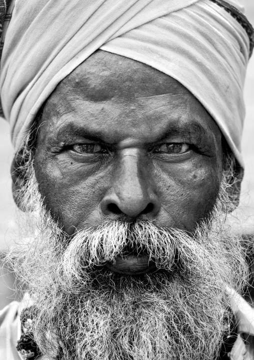 Portrait Of An Old Sadhu Wearing A Turban And A White Beard, Trichy, India