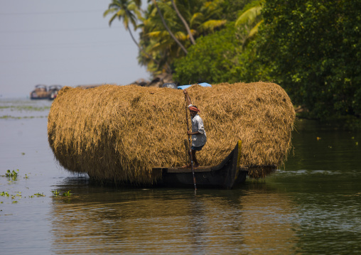 Mature Man Pulling His Heavily Loaded Bark With Hays Using A Wooden Stick On The Backwaters Of Kerala, Alleppey, India