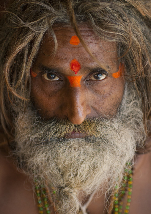Naga Sadhu In Juna Akhara, Maha Kumbh Mela, Allahabad, India