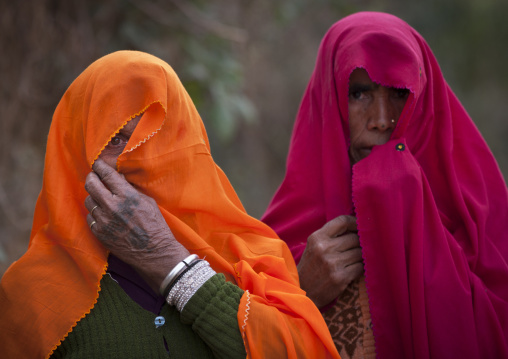 Rajasthan Women, Maha Kumbh Mela, Allahabad, India