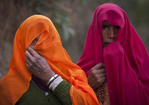 Rajasthan Women, Maha Kumbh Mela, Allahabad, India