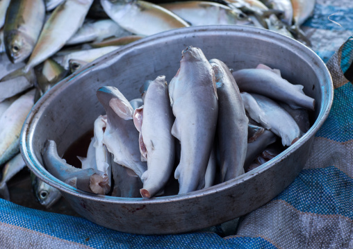 sharks without fins and tails in a a fish market, Hormozgan, Bandar Abbas, Iran