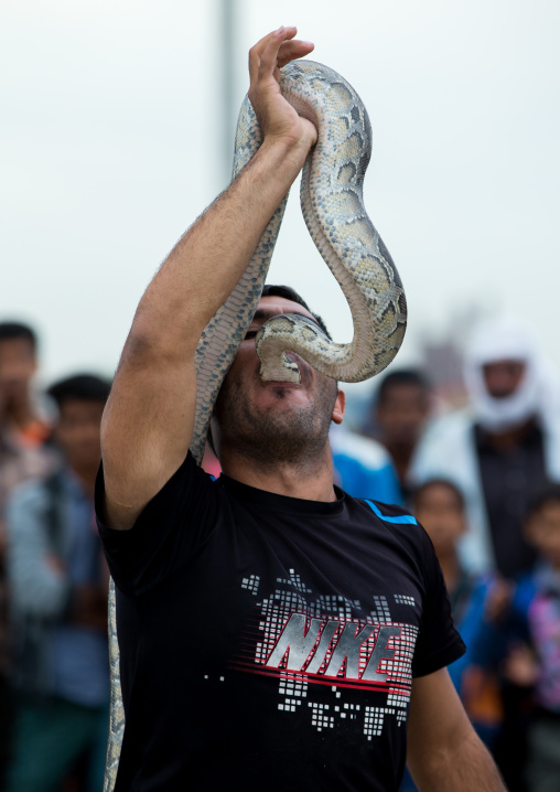 snake charmer puting the head in his mouth, Hormozgan, Minab, Iran