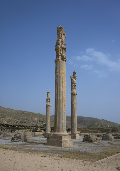 Ruins of apadana palace built by darius the great, Fars province, Persepolis, Iran