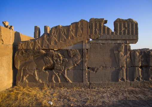 Relief in Apadana palace Persepolis, Fars Province, Marvdasht, Iran