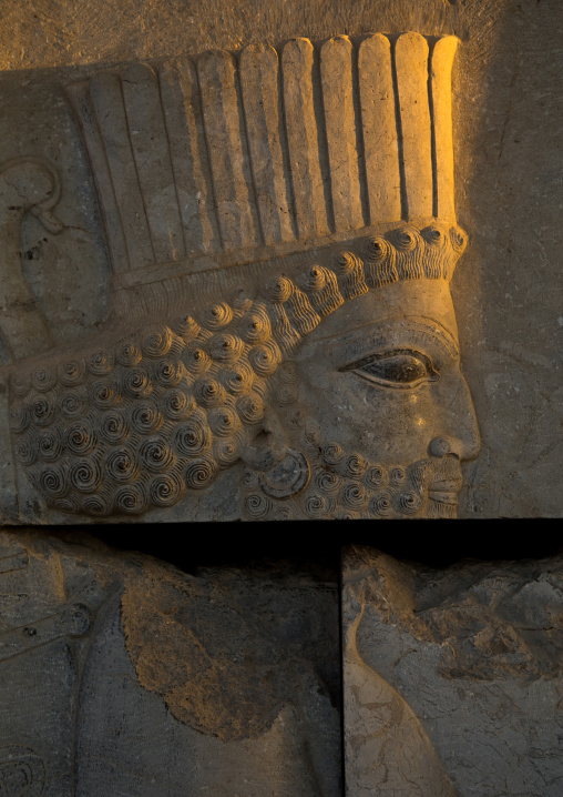 Bas-relief of a persian guard in Persepolis, Fars Province, Marvdasht, Iran