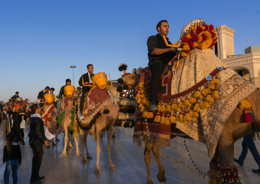 Procession with camels during Muharram celebrations in Fatima al-Masumeh shrine, Central County, Qom, Iran