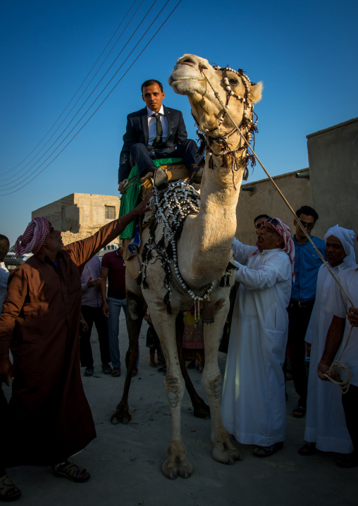 groom riding a camel during his wedding ceremony, Qeshm Island, Salakh, Iran