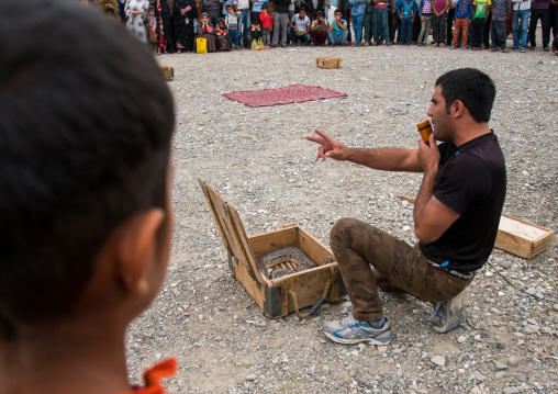 snake charmer pening a box full of snakes, Hormozgan, Minab, Iran