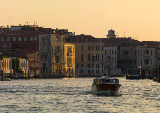 Motorboat sailing on grand canal, Veneto Region, Venice, Italy