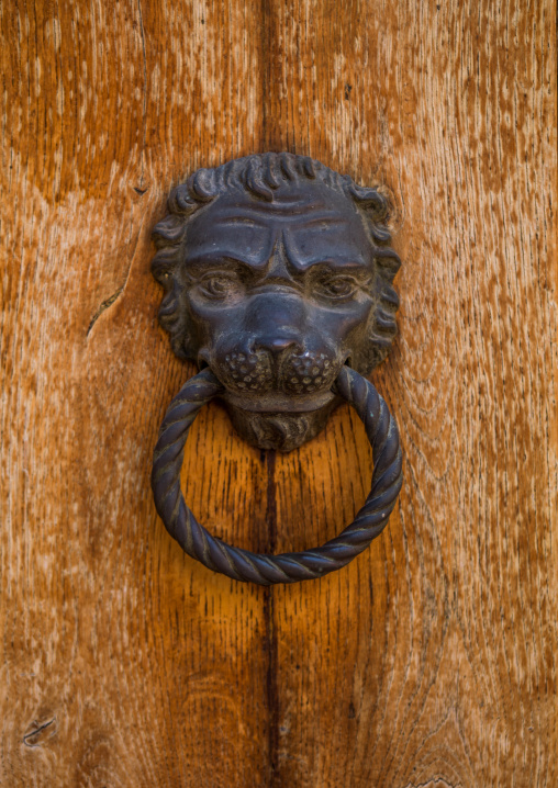 Ornate door knocker with a lion head, Veneto Region, Venice, Italy