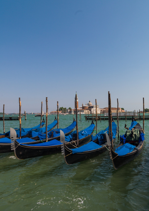 Gondolas parked on the grand canal, Veneto Region, Venice, Italy