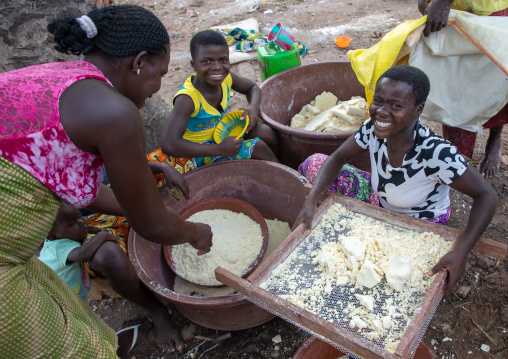 African women making attiéké, Région des Lacs, Sakiare, Ivory Coast