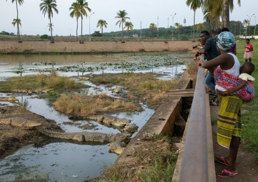 Tourists looking at Houphouet-Boigny's sacred crocodiles living in the artificial lake of the presidential palace, Région des Lacs, Yamoussoukro, Ivory Coast
