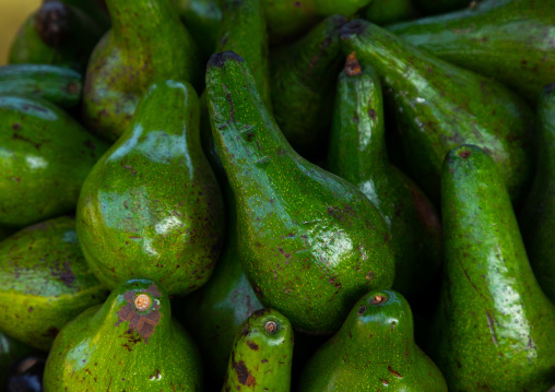 Avocadoes for sale in a market, Moyen-Comoé, Abengourou, Ivory Coast