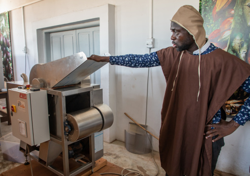 African man putting dried cocoa beans in a stone grinder, Sud-Comoé, Grand-Bassam, Ivory Coast
