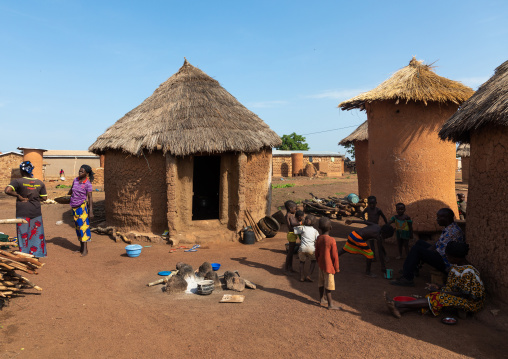 Granaries and huts with thatched roofs, Savanes district, Niofoin, Ivory Coast