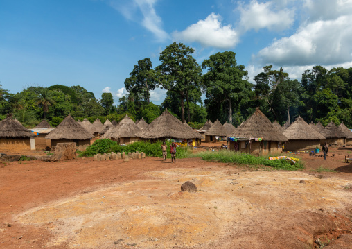 Huts with thatched roofs in a village, Bafing, Gboni, Ivory Coast