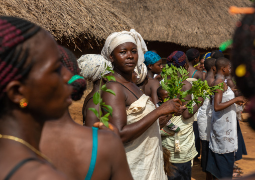 Dan tribe women dancing during a ceremony, Bafing, Gboni, Ivory Coast