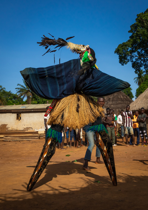 The tall mask dance with stilts called Kwuya Gblen-Gbe in the Dan tribe during a ceremony, Bafing, Gboni, Ivory Coast
