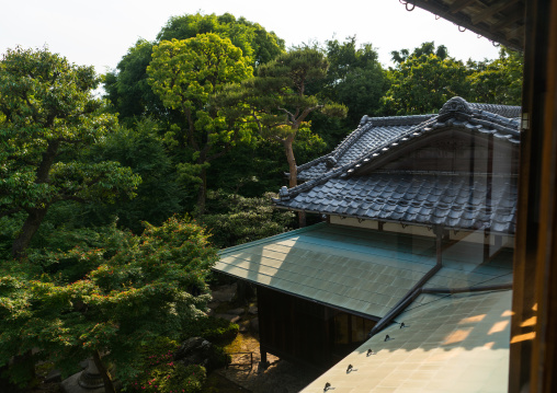 Garden of kyu asakura traditional japanese house from taisho era, Kanto region, Tokyo, Japan