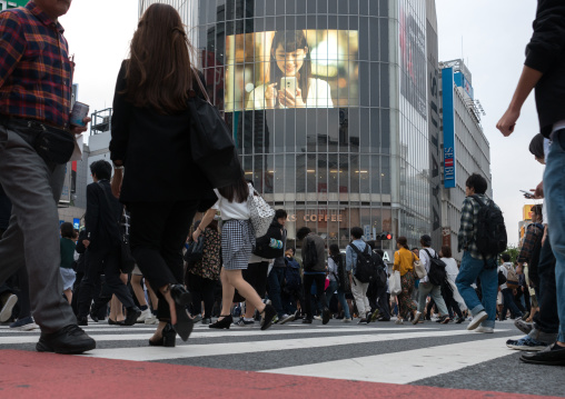 Shibiuya crossing crowded with pedestrians, Kanto region, Tokyo, Japan