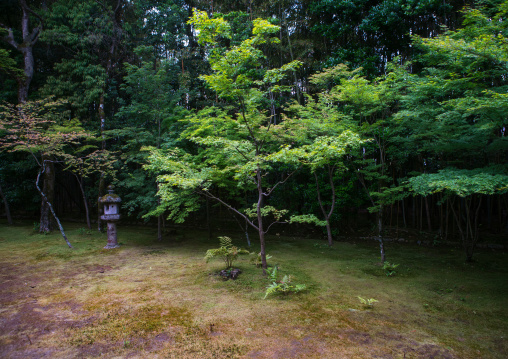 Garden in koto-in zen buddhist temple in daitoku-ji, Kansai region, Kyoto, Japan