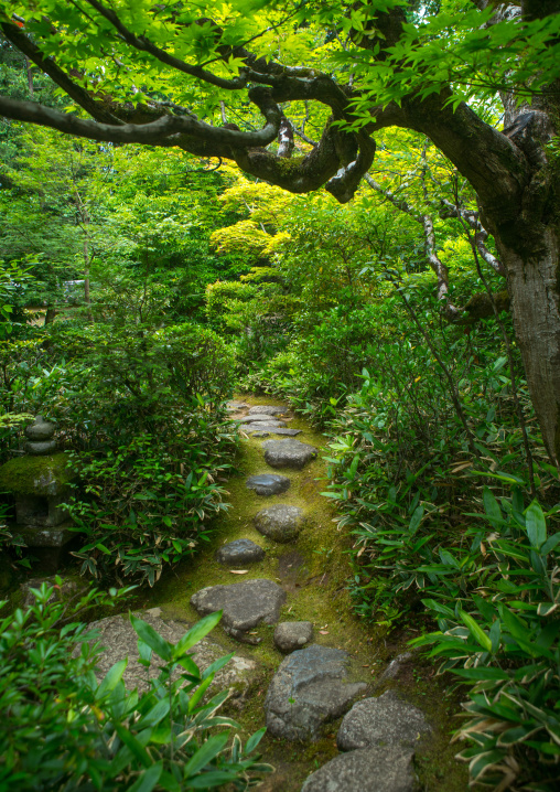 Garden in koto-in zen buddhist temple in daitoku-ji, Kansai region, Kyoto, Japan