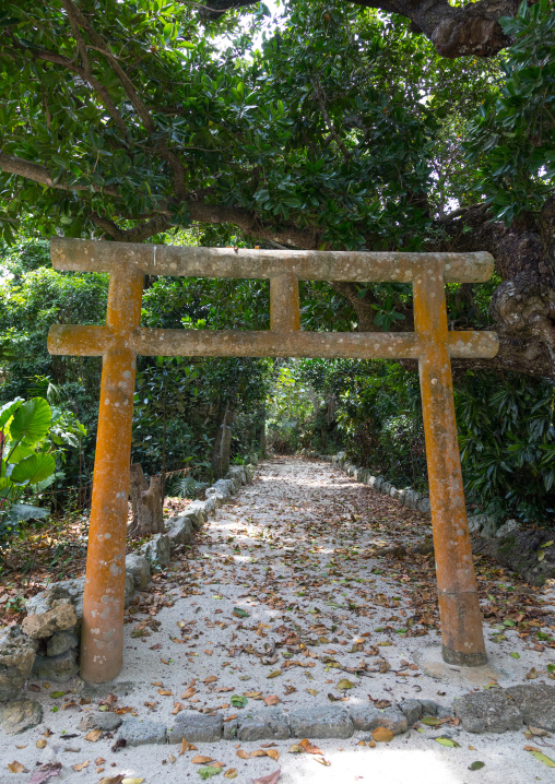 Torii gate in a small temple, Yaeyama Islands, Taketomi island, Japan