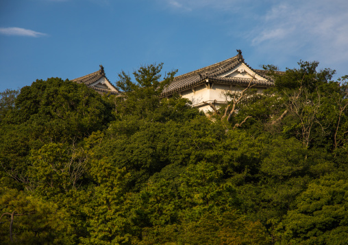 Unesco world heritage site Himeji castle, Hypgo Prefecture, Himeji, Japan