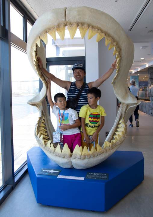 Prehistoric shark teeth on display at Kaiyukan aquarium, Kansai region, Osaka, Japan