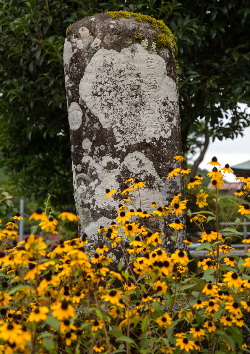 Ancient stone cemetery with moss and yellow flowers, Izu peninsula, Izu, Japan