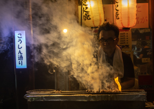 Vendor preparing food on barbecue grill at street market, Kanto region, Tokyo, Japan