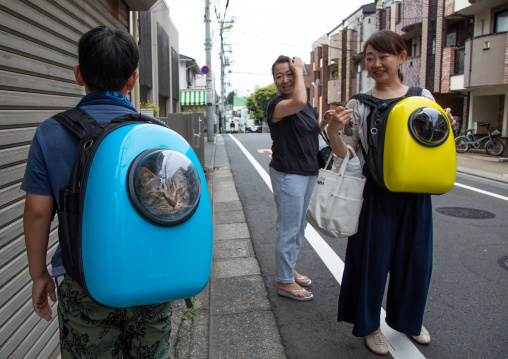 Japanese people carrying their cats in backpacks, Kanto region, Tokyo, Japan