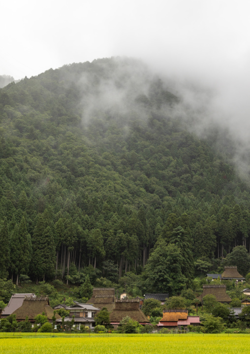 Thatched roofed houses in a traditional village against a forest, Kyoto Prefecture, Miyama, Japan
