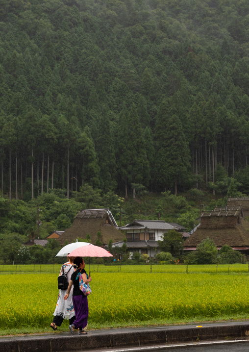 Thatched roofed houses in a traditional village against a forest, Kyoto Prefecture, Miyama, Japan