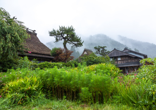 Thatched roofed houses in a traditional village, Kyoto Prefecture, Miyama, Japan