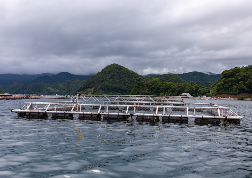 Fish farm in the sea, Kyoto prefecture, Ine, Japan