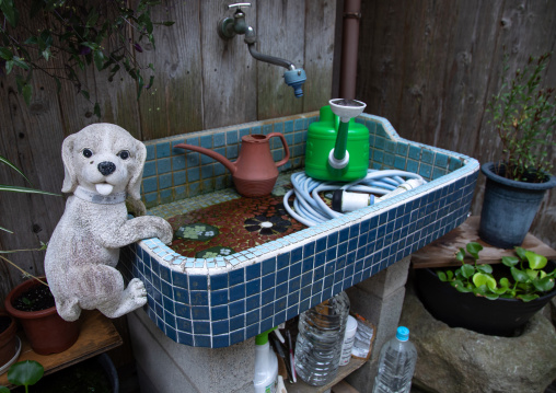Kitchen sink with a dog toy, Kyoto prefecture, Ine, Japan