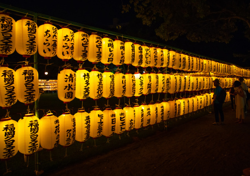 Painted lanterns during Gokoku shrine Mitama matsuri Obon festival celebrating the return of the spirits of the deads, Kyushu region, Fukuoka, Japan