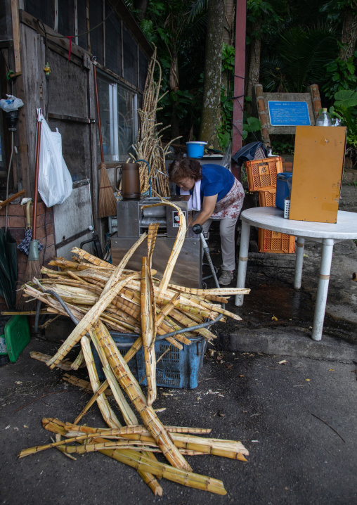 Japanese woman juicing sugar cane, Yaeyama Islands, Ishigaki-jima, Japan