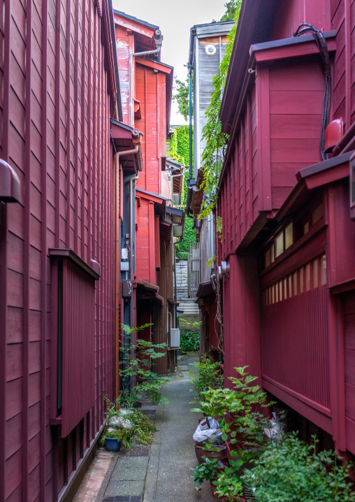 Wooden houses in Higashichaya old town, Ishikawa Prefecture, Kanazawa, Japan