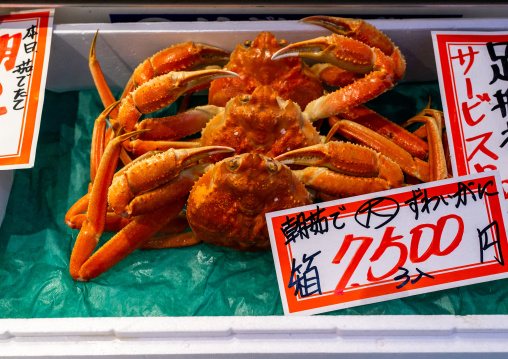 Cooked crabs in omicho market, Ishikawa Prefecture, Kanazawa, Japan