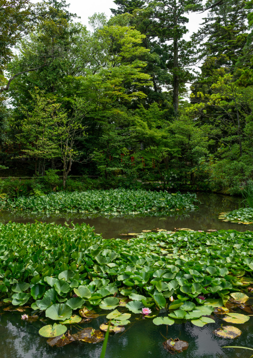 Kenroku-en garden, Ishikawa Prefecture, Kanazawa, Japan