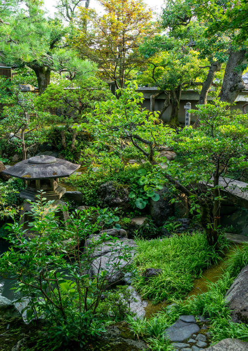 Nomura family samurai house japanese garden in Nagamachi quarter, Ishikawa Prefecture, Kanazawa, Japan
