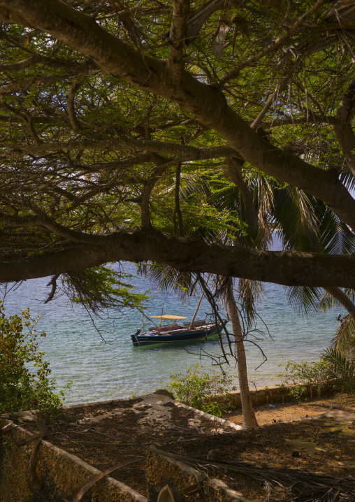 Dhow on the waterfront, Lamu county, Shela, Kenya