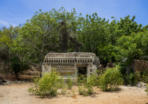 Ruins of a once-imposing c19th residence near the wa deule mosque, Lamu county, Shela, Kenya